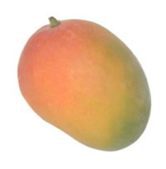 アップルマンゴ